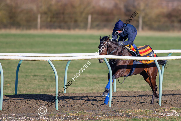 Newmarket Gallops