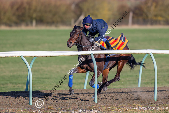 Newmarket Gallops