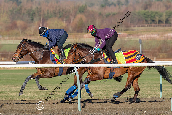 Newmarket Gallops