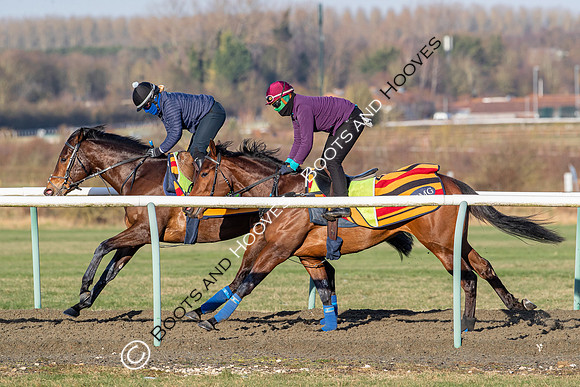 Newmarket Gallops