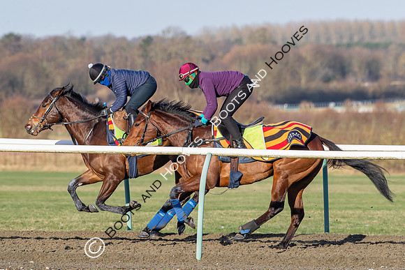 Newmarket Gallops