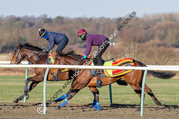 Newmarket Gallops