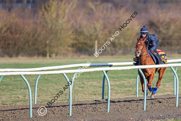 Newmarket Gallops