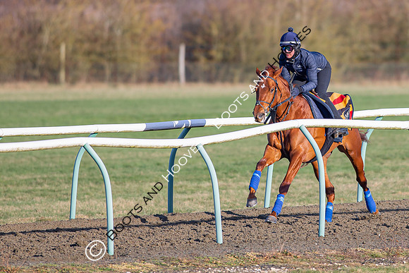 Newmarket Gallops
