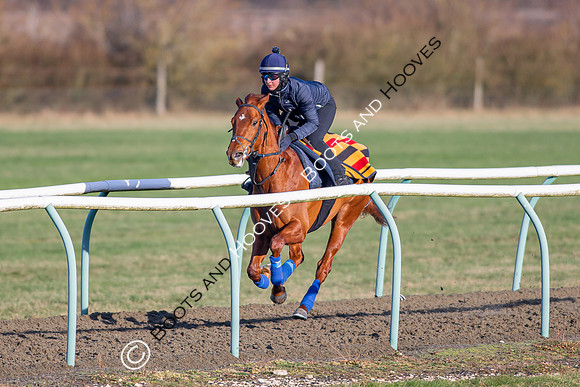 Newmarket Gallops