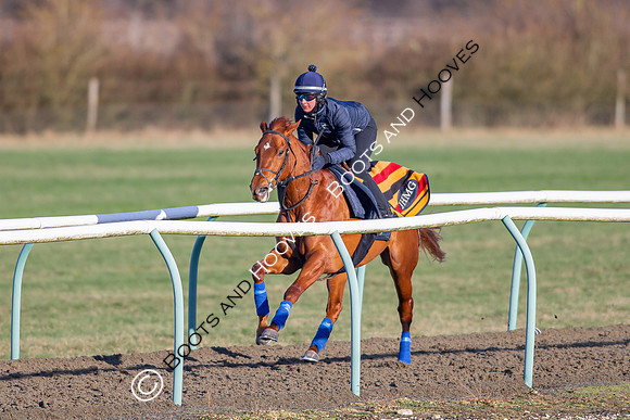 Newmarket Gallops