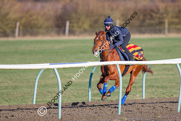 Newmarket Gallops