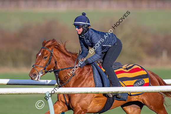 Newmarket Gallops