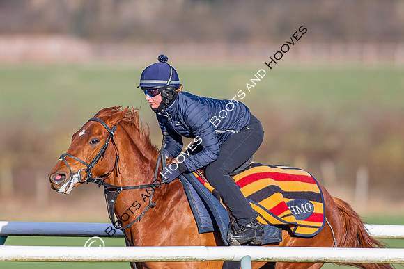 Newmarket Gallops