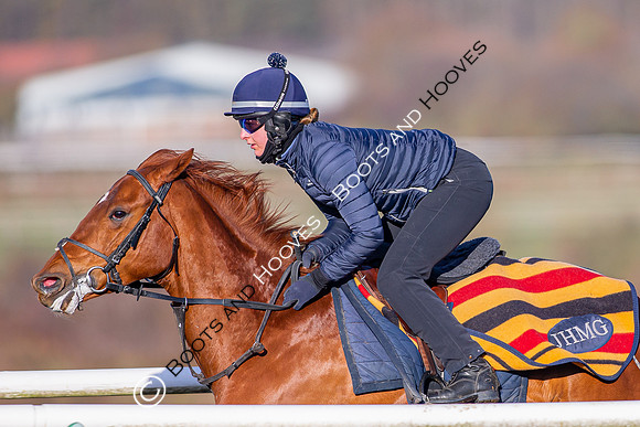Newmarket Gallops