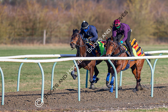 Newmarket Gallops