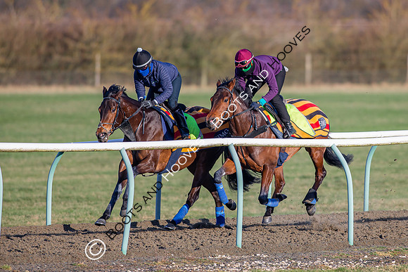 Newmarket Gallops