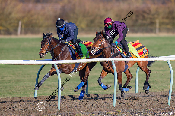 Newmarket Gallops
