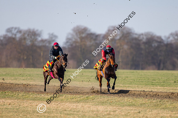Newmarket Gallops