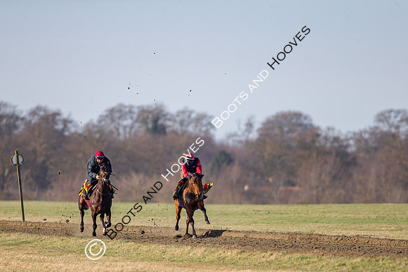 Newmarket Gallops