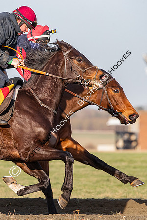 Newmarket Gallops