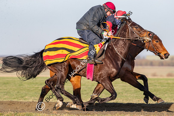 Newmarket Gallops