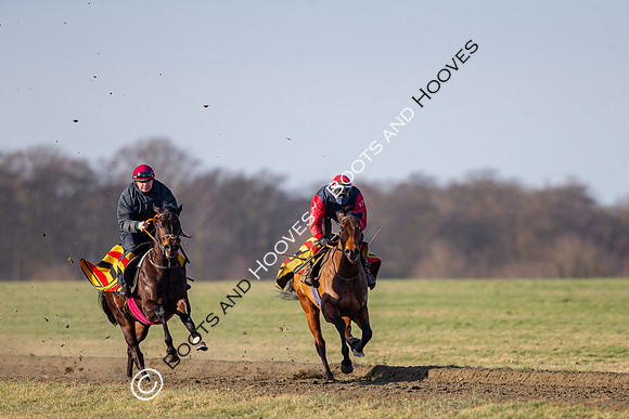 Newmarket Gallops