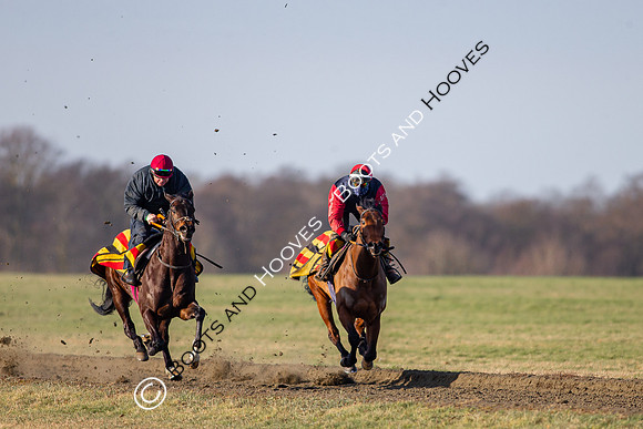 Newmarket Gallops