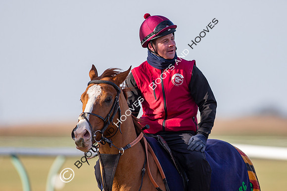 Newmarket Gallops