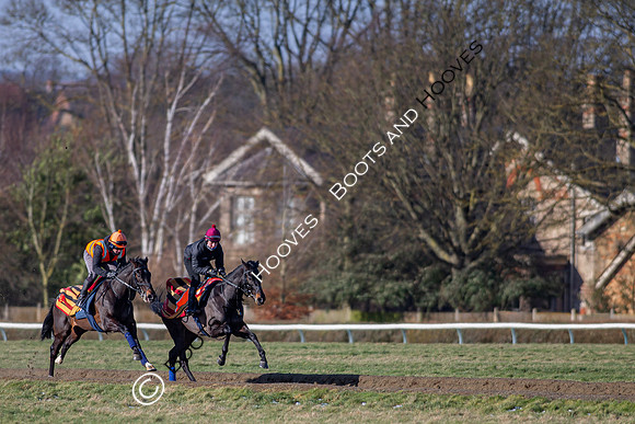 Newmarket Gallops