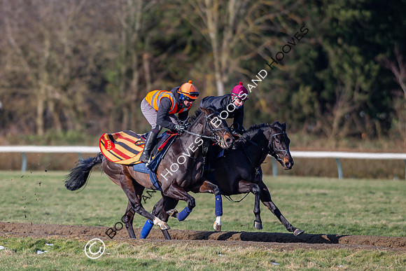 Newmarket Gallops