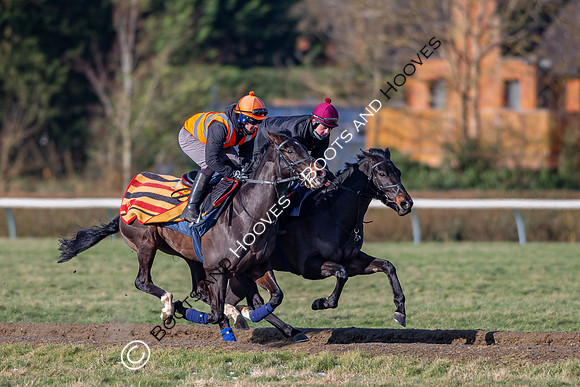 Newmarket Gallops