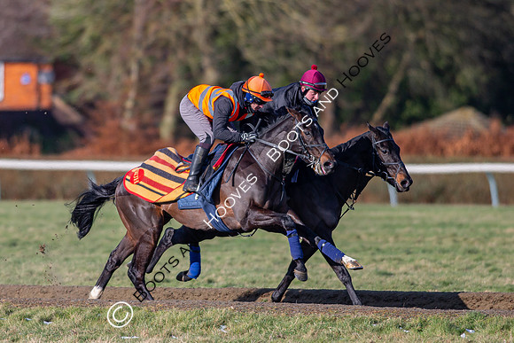 Newmarket Gallops