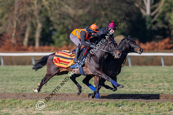 Newmarket Gallops