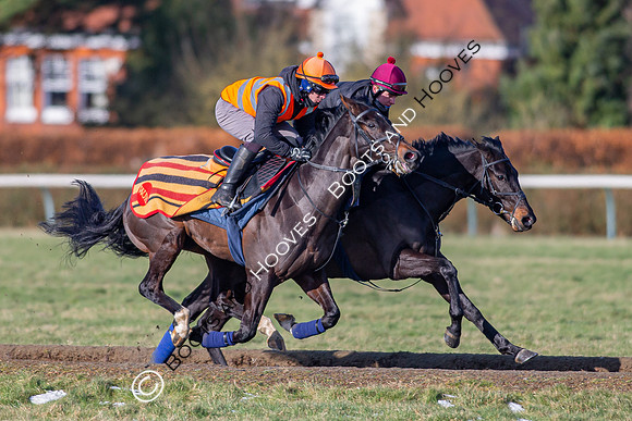 Newmarket Gallops
