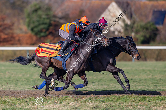 Newmarket Gallops