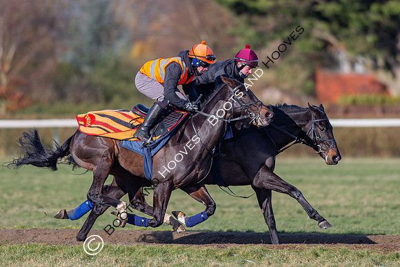 Newmarket Gallops