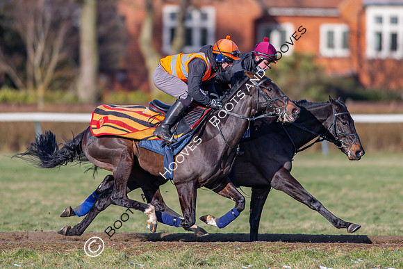 Newmarket Gallops