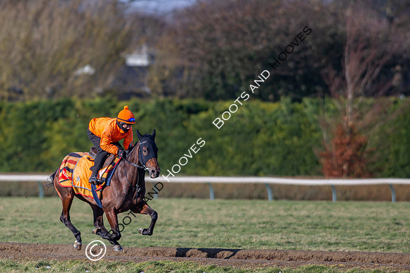 Newmarket Gallops