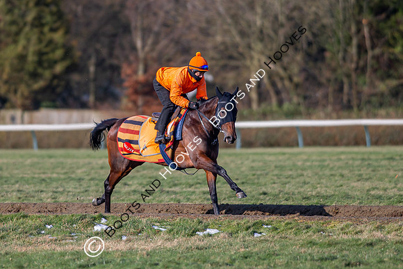 Newmarket Gallops