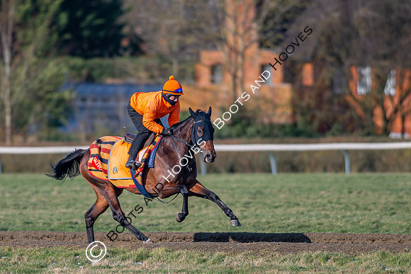 Newmarket Gallops