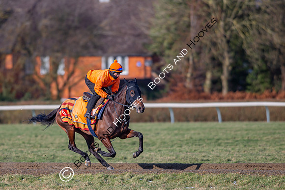 Newmarket Gallops