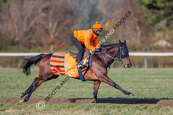 Newmarket Gallops