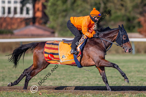 Newmarket Gallops