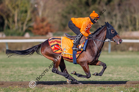 Newmarket Gallops