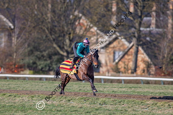 Newmarket Gallops