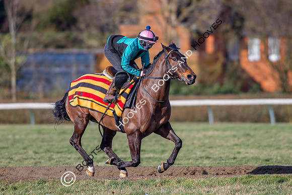 Newmarket Gallops