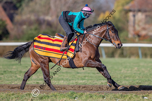 Newmarket Gallops