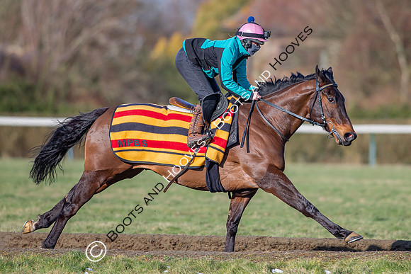 Newmarket Gallops