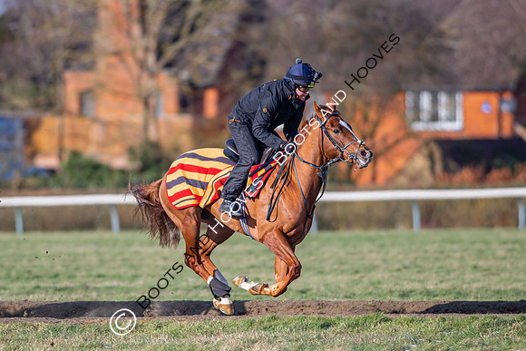 Newmarket Gallops