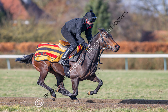Newmarket Gallops
