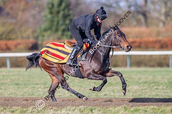 Newmarket Gallops