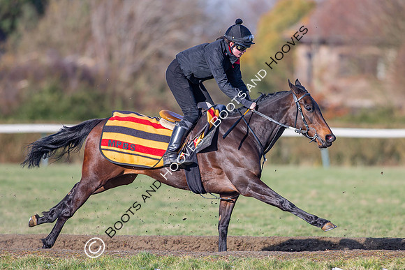 Newmarket Gallops