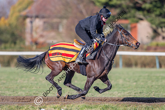 Newmarket Gallops