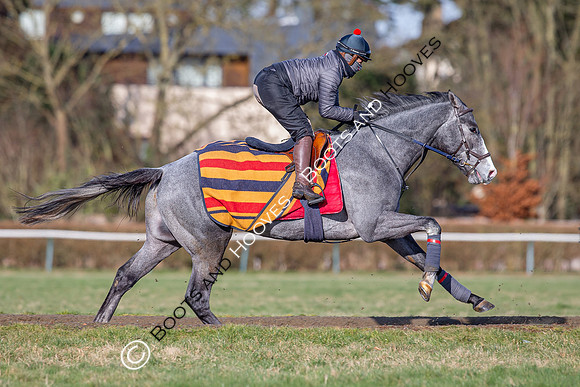 Newmarket Gallops